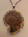 925 Silver Ammonite Fossil Necklace: Amethyst Gemstone Chain