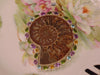 925 Silver Ammonite Fossil Necklace: Amethyst Gemstone Chain