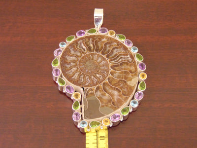 925 Silver Ammonite Fossil Necklace: Amethyst Gemstone Chain