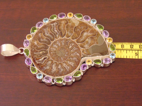 925 Silver Ammonite Fossil Necklace: Amethyst Gemstone Chain