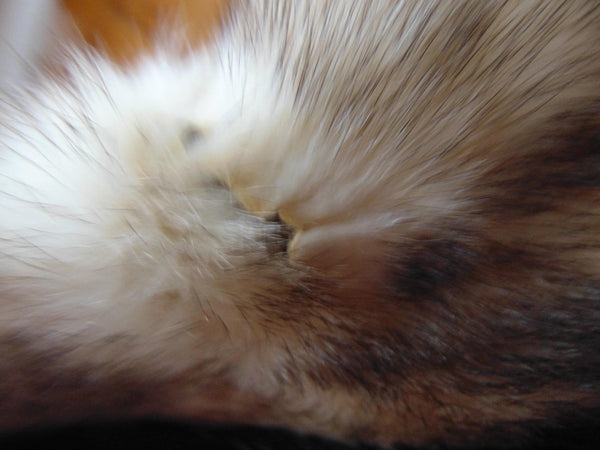 Vintage Natural Fitch Fur Coat: Full Length Estate Furs