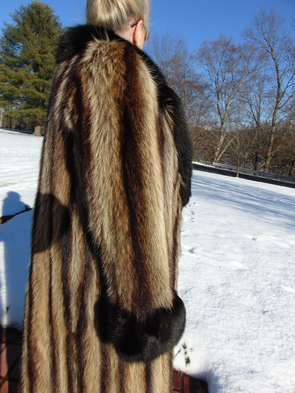 Vintage Full Length Raccoon Fur Coat: Fox Trim, 80s Estate Piece