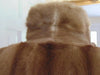 Vintage Mink Fur Coat: Full Length, Classic Style