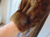 Vintage Mink and Fox Fur Coat - Pollack Furs - Preloved Luxury