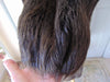 Vintage Full Length Nutria Fur Coat, Fox Collar, Flemington Furs